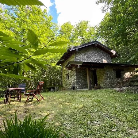 La Casa Nel Bosco 度假居 *