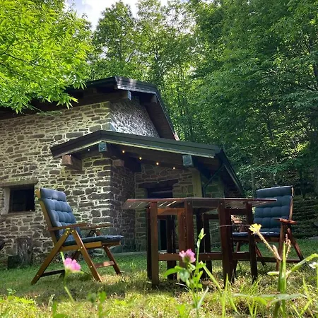 La Casa Nel Bosco