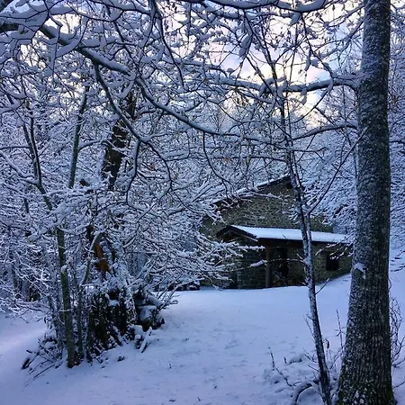 度假居 La Casa Nel Bosco Pontolo